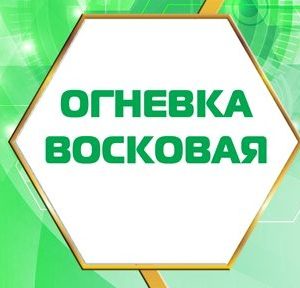 Огневка